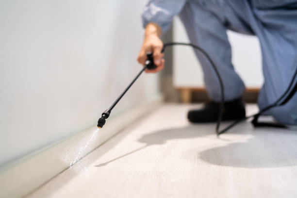 Licensed Mosquito Control service in Mount Vernon, AL - Show Me Pest Control