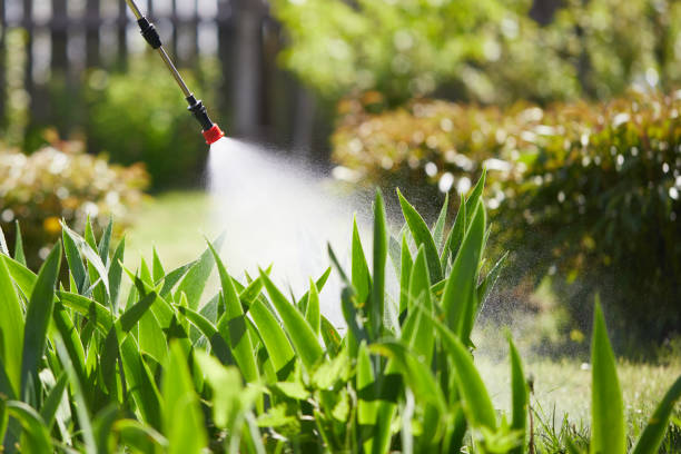 24/7 Emergency Mosquito Control experts in Mount Vernon, AL