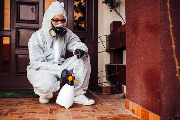 Reliable Mosquito Control contractor in Mount Vernon, AL by Show Me Pest Control